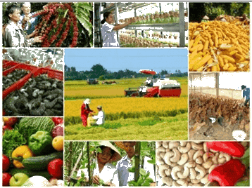 Sưu tầm hình ảnh, thông tin về ảnh hưởng (thuận lợi, khó khăn) của thiên nhiên nhiệt đới
