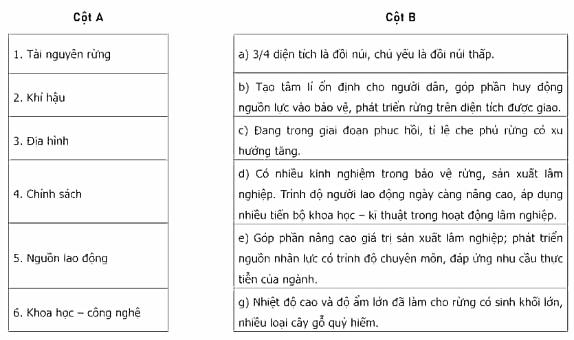 Nối các ý ở cột A với các ý ở cột B cho phù hợp với thế mạnh và hạn chế trong phát triển lâm nghiệp