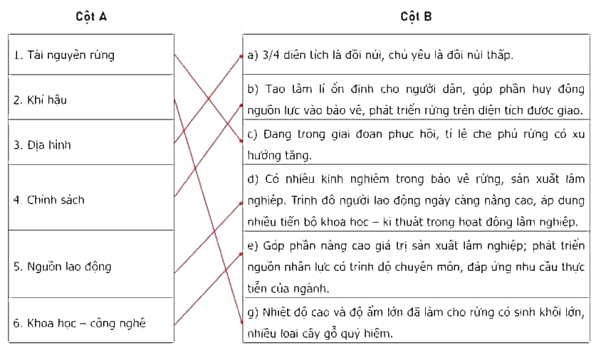 Nối các ý ở cột A với các ý ở cột B cho phù hợp với thế mạnh và hạn chế trong phát triển lâm nghiệp