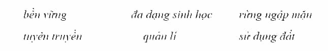 Điền các từ hoặc cụm từ thích hợp cho sẵn vào chỗ trống để hoàn thành đoạn thông tin về công tác quản lí