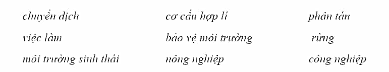 Điền các từ hoặc cụm từ đã cho vào chỗ trống để hoàn thành đoạn thông tin về vai trò của trang trại ở nước ta