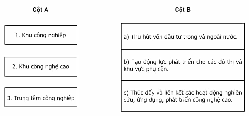 Nối các ý ở cột A với các ý ở cột B cho phù hợp với vai trò của một số hình thức tổ chức