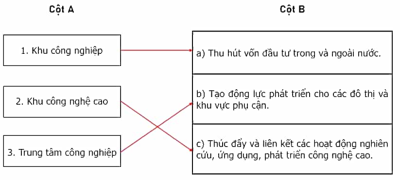 Nối các ý ở cột A với các ý ở cột B cho phù hợp với vai trò của một số hình thức tổ chức