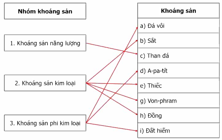 Dựa vào hình 24.1 trang 100 SGK và kiến thức đã học, hãy thực hiện các yêu cầu