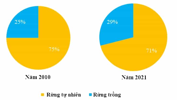 Dựa vào bảng 27.2 trang 117 SGK, hãy: Tính cơ cấu diện tích rừng ở Bắc Trung Bộ