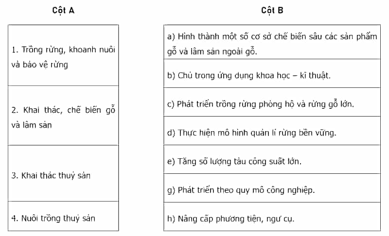 Nối các ý ở cột A với các ý ở cột B cho phù hợp với xu hướng phát triển ngành lâm nghiệp