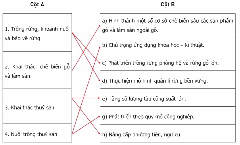 Nối các ý ở cột A với các ý ở cột B cho phù hợp với xu hướng phát triển ngành lâm nghiệp