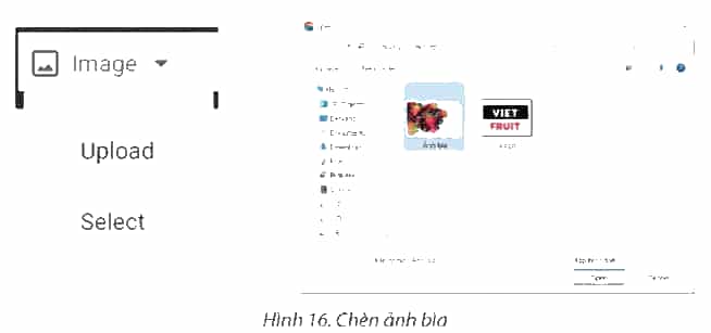 Yêu cầu: Thiết kế một trang web với chủ đề bán hàng, thông tin mặt hàng là các loại trái cây đặc sản vùng miền của Việt Nam (Hình 1). Trang thiết kế gồm các yêu cầu như sau: Tiêu đề chính của trang: “TRÁI CÂY VIỆT NIỀM TỰ HÀO ĐẤT NƯỚC”. Chèn logo, đặt tên trang web: “VietFruit”. Chèn hình ảnh bìa: Tải hình ảnh liên quan đến chủ đề từ các trang chia sẻ hình ảnh miễn phí trên Internet. (ảnh 6)