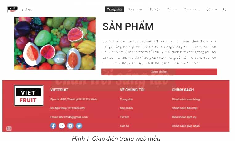 Em hãy thảo luận với bạn và chỉ ra vị trí chân trang trong Hình 1. Vì sao cần thiết kế chân trang cho tất cả các trang? (ảnh 1)