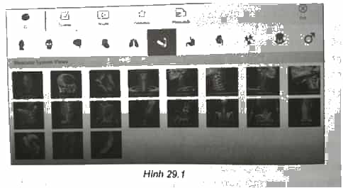 Trong lĩnh vực y học việc sử dụng phần mềm mô phỏng giải phẫu là một công cụ