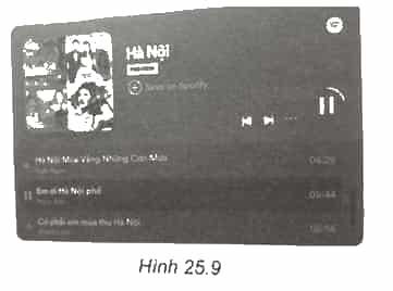 Một số website trên Internet có phần trình diễn âm nhạc như Hình 25.9