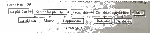Thực hành: Hãy tạo dựng cấu trúc trang website giới thiệu cửa hàng