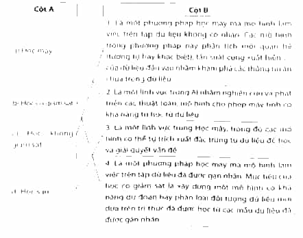Nối thuật ngữ ở cột A với định nghĩa phù hợp ở cột B: Học máy; Học có giám sát; Học không giám sát; Học sâu