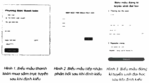 Em hãy định kiểu cho biểu mẫu đăng kí tuyển sinh trong Bài F5.4 như Hình 3
